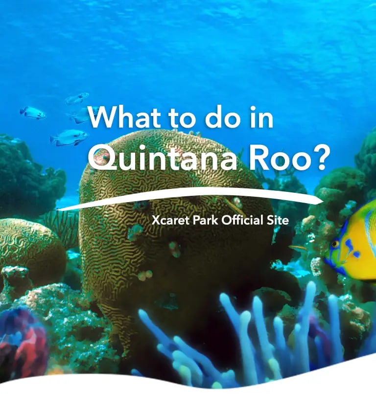 About Quintana Roo  Xcaret Park Official Site