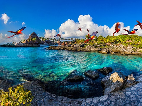 Compare Xcaret’s parks and tours