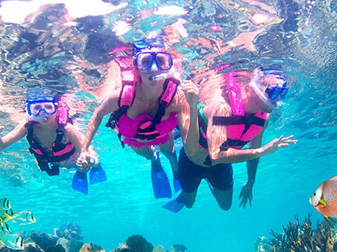 Tours in Cancun and Riviera Maya | Xcaret Mexico