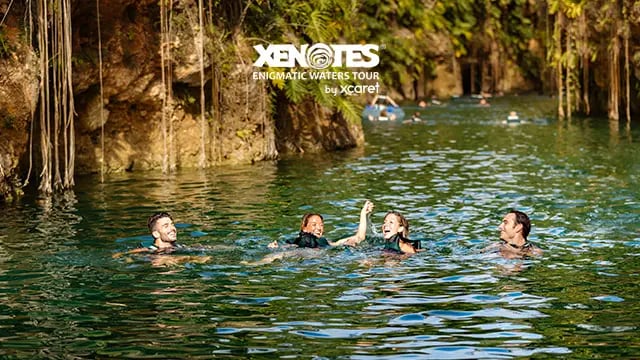 Xenotes | Create Your Package